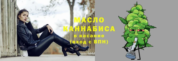 СК Алексин