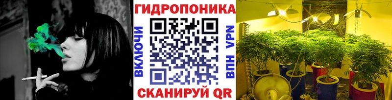 Каннабис ГИДРОПОН  дарк нет клад  Мышкин 